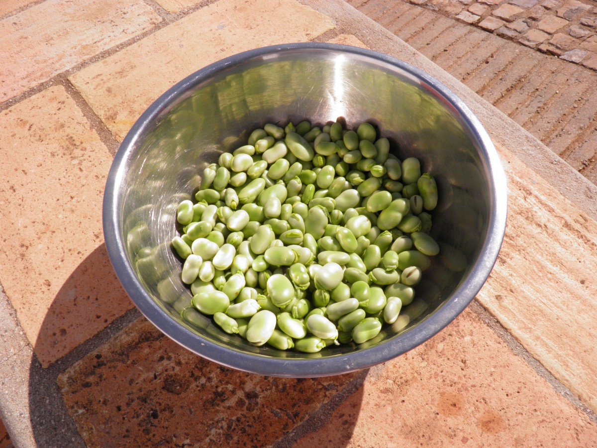 Cuisson des pois cassés